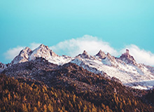 开云APP——开启你的智能生活新体验